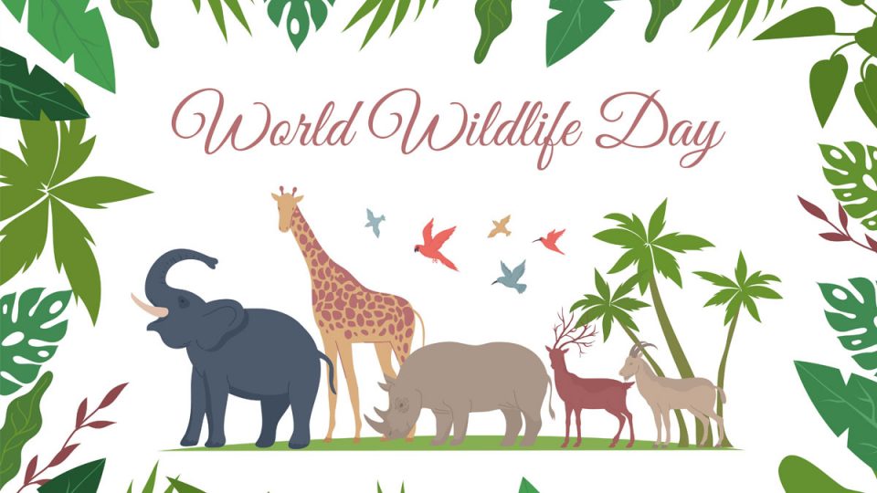 World Animal Day Poster Messages